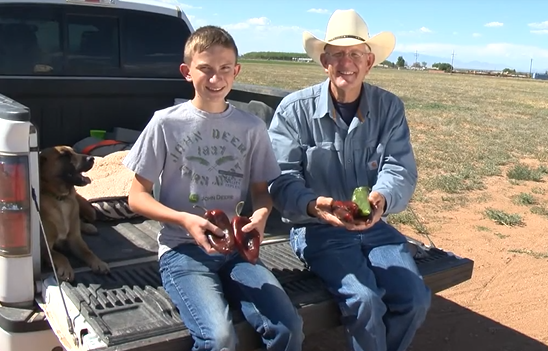 Building Healthy Soil: Lessons from 44 Years of Farming